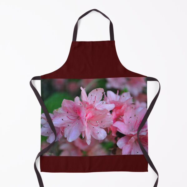 Item preview, Spring is Here designed and sold by michaelasamples.