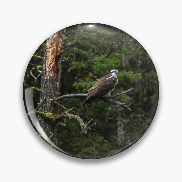 Item preview, Osprey designed and sold by ColtonHamm.