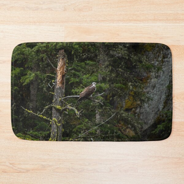 Item preview, Osprey designed and sold by ColtonHamm.
