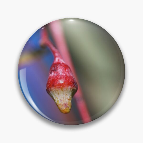 Item preview, Bud Wildfire Eucalyptus  designed and sold by Joy Watson - Natural Light Photography .