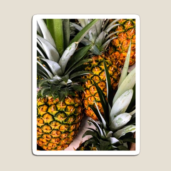 Item preview, Organic Pineapple Print designed and sold by Candace Offman.
