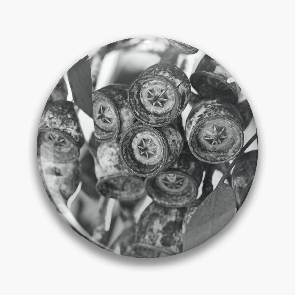 Item preview, Eucalyptus Gumnut Stars BW designed and sold by Joy Watson - Natural Light Photography .