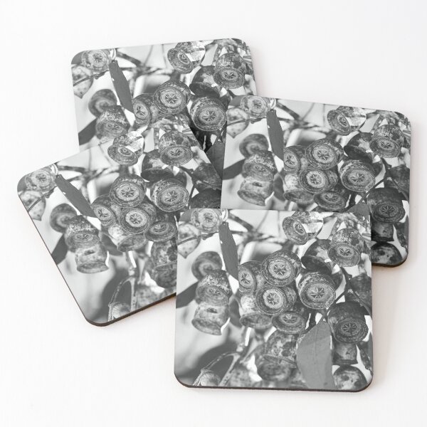 Item preview, Eucalyptus Gumnut Stars BW designed and sold by Joy Watson - Natural Light Photography .