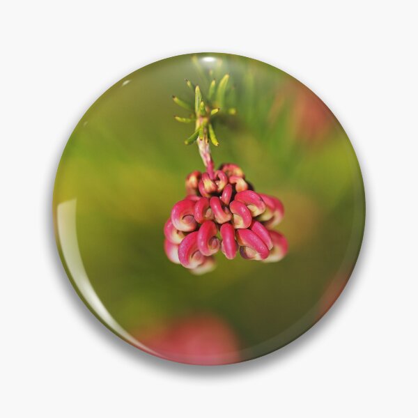 Item preview, Grevillea Bloom Greencape designed and sold by Joy Watson - Natural Light Photography .