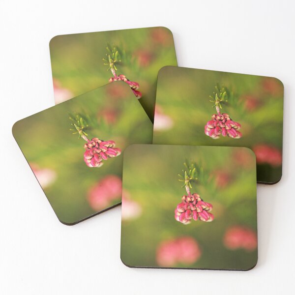 Item preview, Grevillea Bloom Greencape designed and sold by Joy Watson - Natural Light Photography .
