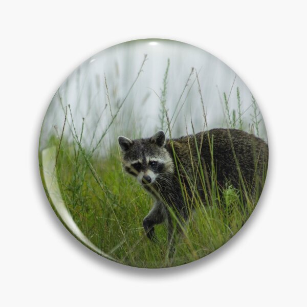 Item preview, The Bandit designed and sold by ColtonHamm.