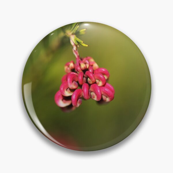 Item preview, Grevillea Greencape A Groundcover designed and sold by Joy Watson - Natural Light Photography .