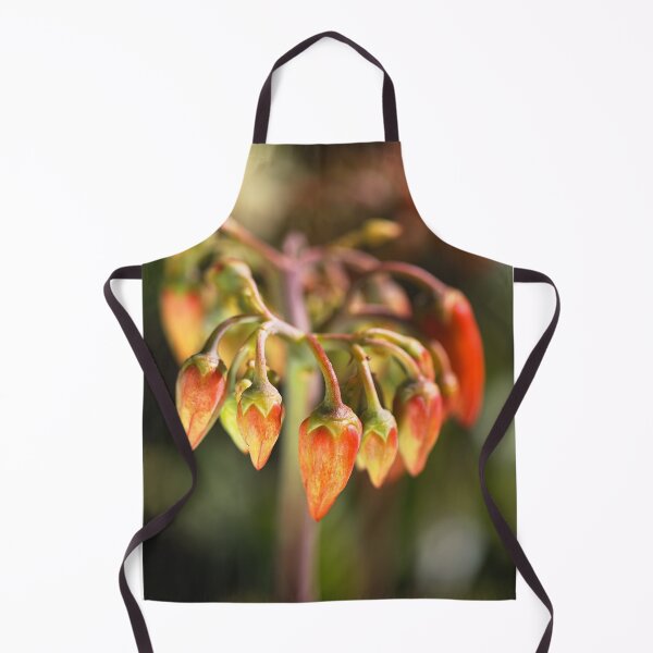 Item preview, Pigs Ear Cactus Bud designed and sold by Joy Watson - Natural Light Photography .