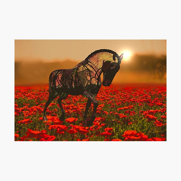 Unicorn in a field of poppies Art Board Print for Sale by LoneAngel