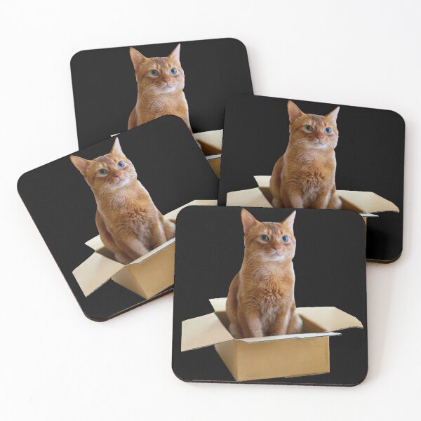 Item preview, If I Fits, I Sits - Cat in a Box designed and sold by MeowMerch.