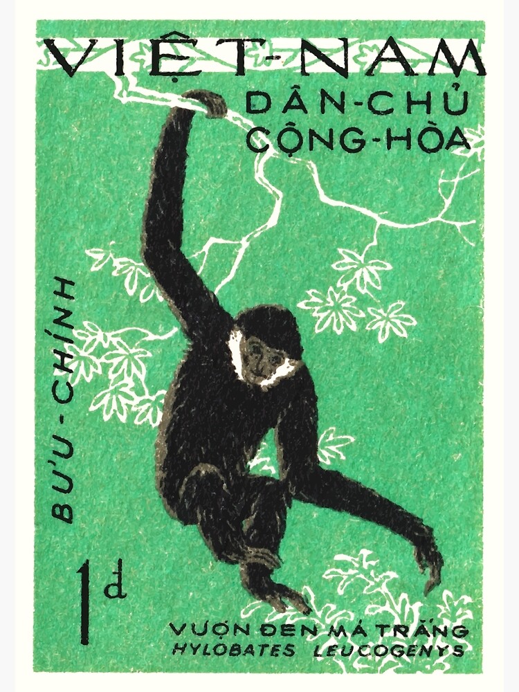 1961 Vietnam Gibbon Postage Stamp by retrographics