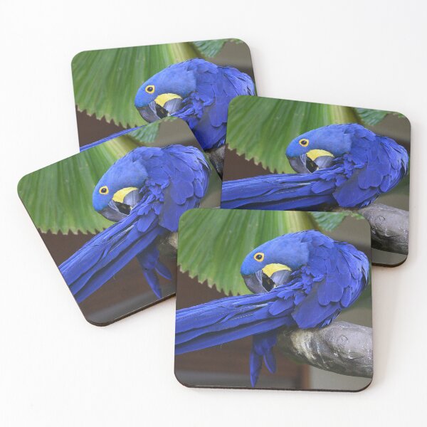 Item preview, Hyacinth Macaw Preening Its Feathers Art Photo designed and sold by DEC02.