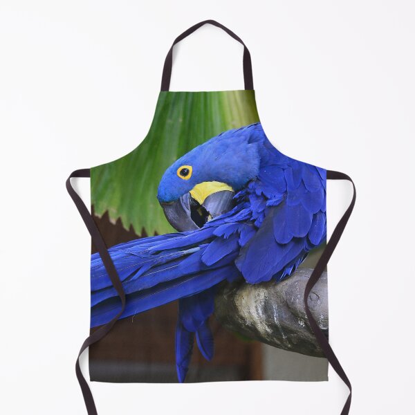Item preview, Hyacinth Macaw Preening Its Feathers Art Photo designed and sold by DEC02.