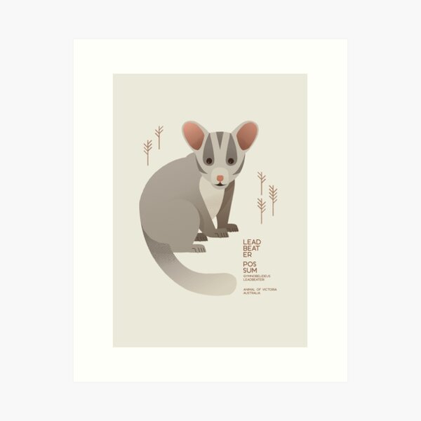 Item preview, Leadbeater Possum, Animal of Victoria, Australia designed and sold by printedsparrow.