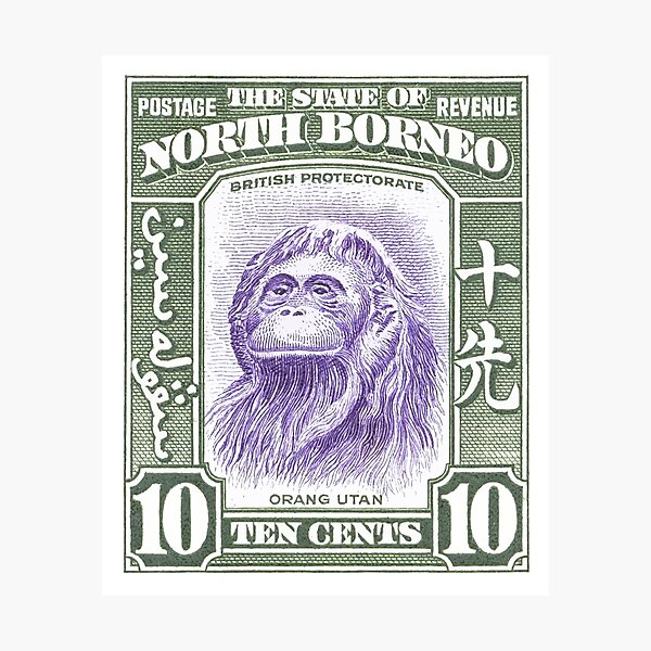1939 North Borneo Orangutan Stamp Photographic Print