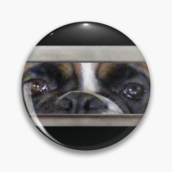 Item preview, Dog letterbox designed and sold by POLEX-DESIGNS.