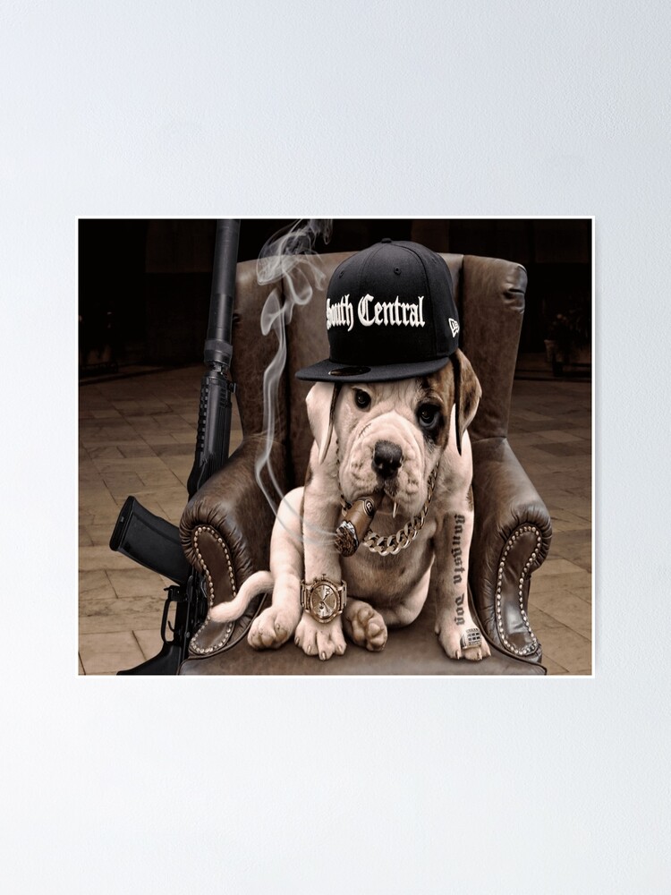 Gangster puppy Gangster puppy