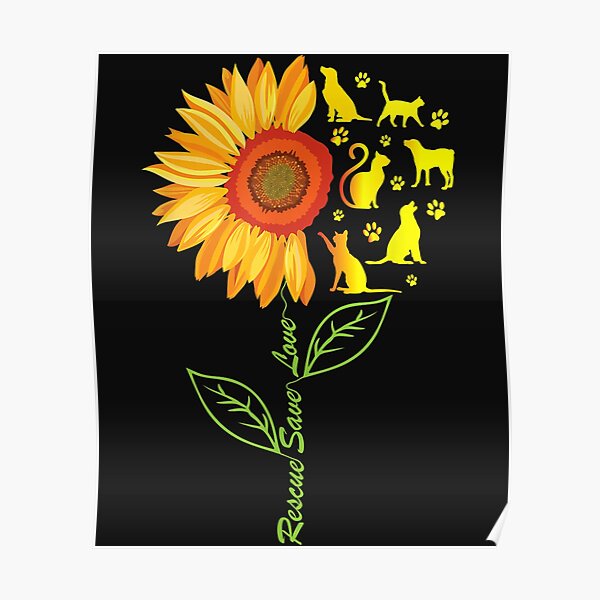 Pósters: De Pata De Perro De Girasol | Redbubble