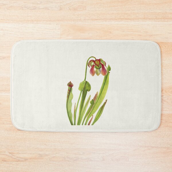 Item preview, Catesby Pitcherplant - Sarracenia catesaei - Walcott - Botanical Illustration designed and sold by chimakingthings.