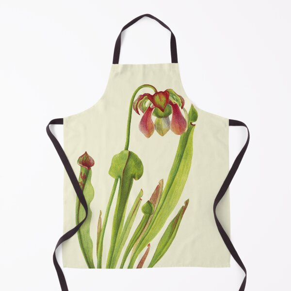 Item preview, Catesby Pitcherplant - Sarracenia catesaei - Walcott - Botanical Illustration designed and sold by chimakingthings.