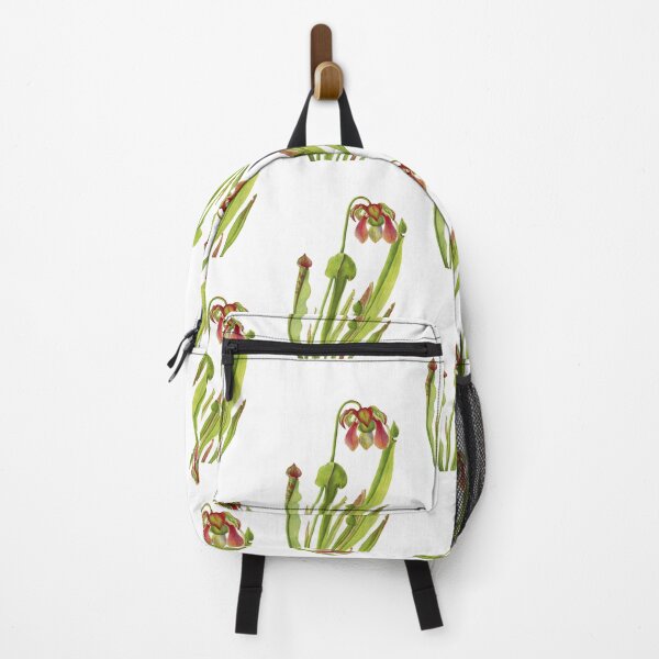 Item preview, Catesby Pitcherplant - Sarracenia catesaei - Walcott - Botanical Illustration designed and sold by chimakingthings.