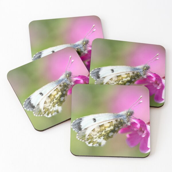Item preview, Orange tip butterfly (f) designed and sold by GreyFeatherPhot.