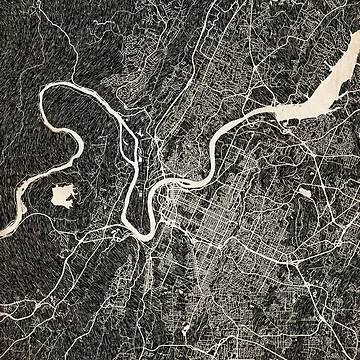 Imagen de la obra Chattanooga map Tennessee Ink lines 2 de InkMaps