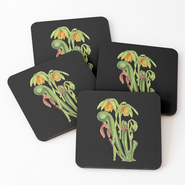 Item preview, California Pitcherplant - Darlingtonia Californica - Walcott - Botanical Illustration designed and sold by chimakingthings.