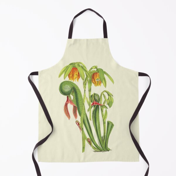 Item preview, California Pitcherplant - Darlingtonia Californica - Walcott - Botanical Illustration designed and sold by chimakingthings.