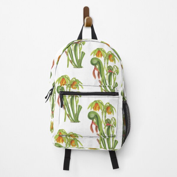 Item preview, California Pitcherplant - Darlingtonia Californica - Walcott - Botanical Illustration designed and sold by chimakingthings.