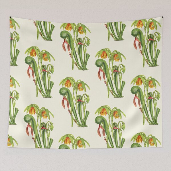 Item preview, California Pitcherplant - Darlingtonia Californica - Walcott - Botanical Illustration designed and sold by chimakingthings.