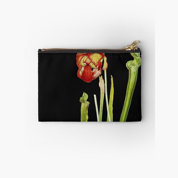 Item preview, Drummond Pitcherplant - Sarracenia Drummond - Walcott - Botanical Illustration designed and sold by chimakingthings.
