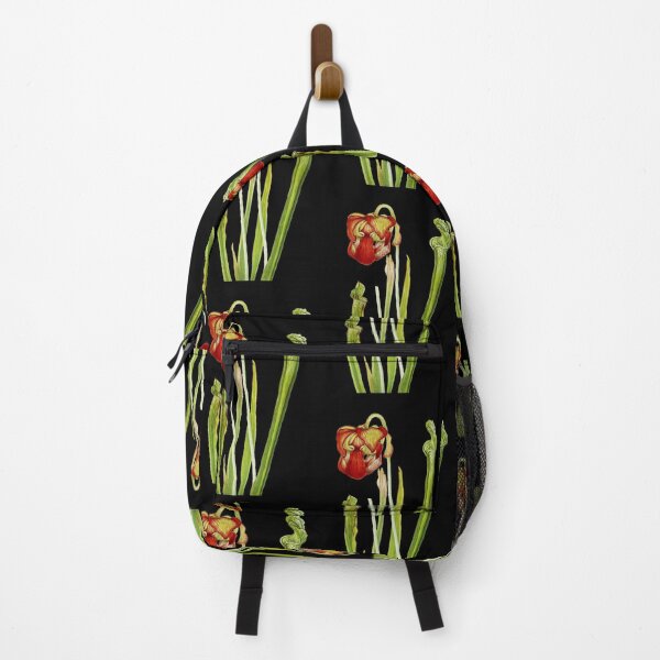 Item preview, Drummond Pitcherplant - Sarracenia Drummond - Walcott - Botanical Illustration designed and sold by chimakingthings.