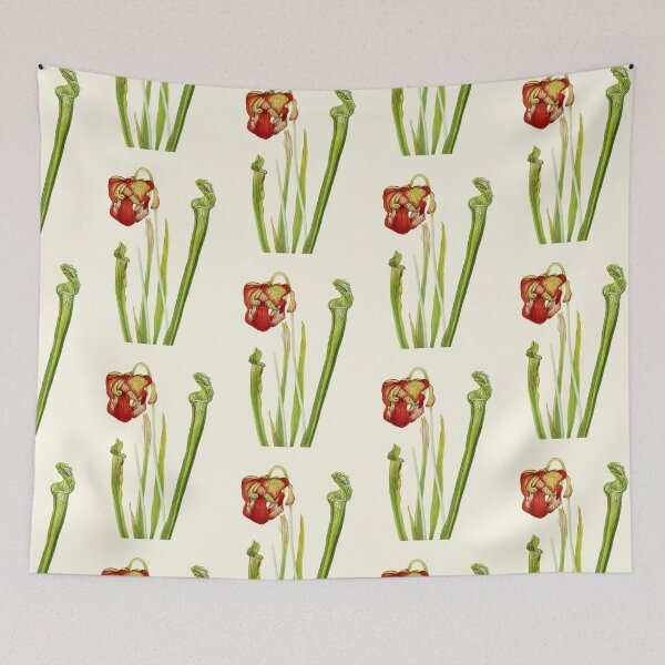 Item preview, Drummond Pitcherplant - Sarracenia Drummond - Walcott - Botanical Illustration designed and sold by chimakingthings.