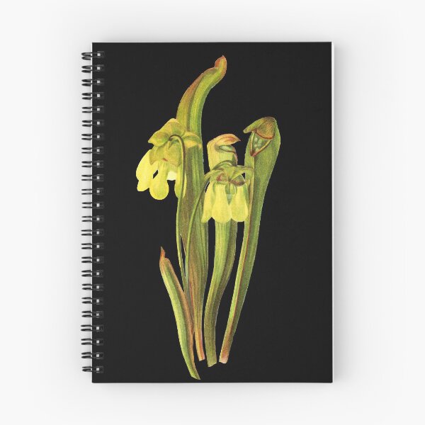 Item preview, Hooded Pitcherplant - Sarracenia Minor- Walcott - Botanical Illustration designed and sold by chimakingthings.