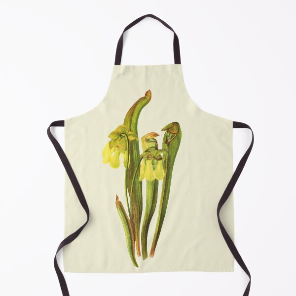 Item preview, Hooded Pitcherplant - Sarracenia Minor- Walcott - Botanical Illustration designed and sold by chimakingthings.