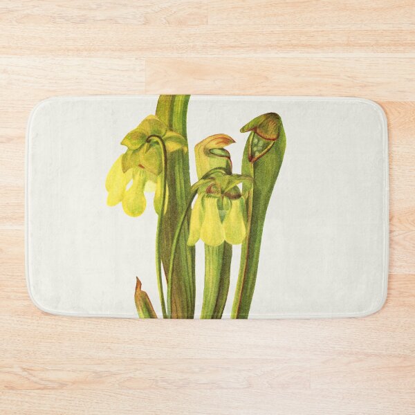 Item preview, Hooded Pitcherplant - Sarracenia Minor- Walcott - Botanical Illustration designed and sold by chimakingthings.