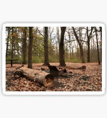 campground Sticker