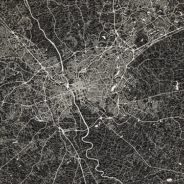 Imagen de la obra Columbia map South Carolina Ink lines de InkMaps