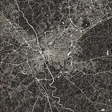Imagen de la obra Columbia map South Carolina Ink lines 2 de InkMaps