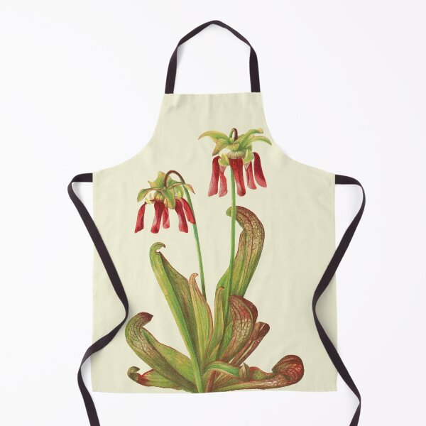 Item preview, Parrot Pitcherplant - Sarracenia Psittacina - Walcott - Botanical Illustration designed and sold by chimakingthings.