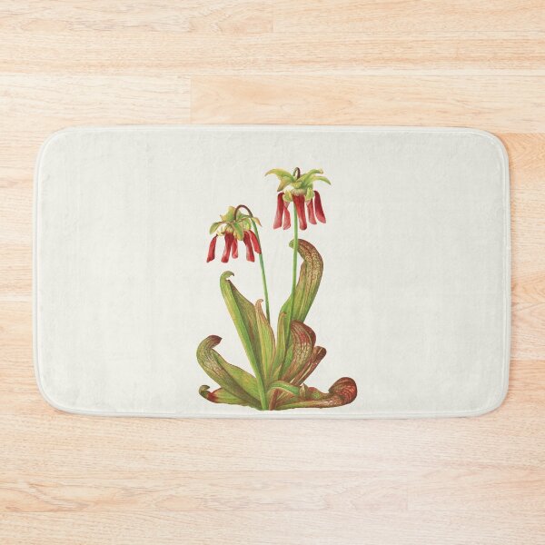 Item preview, Parrot Pitcherplant - Sarracenia Psittacina - Walcott - Botanical Illustration designed and sold by chimakingthings.