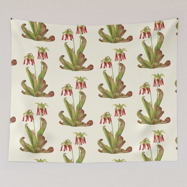 Item preview, Parrot Pitcherplant - Sarracenia Psittacina - Walcott - Botanical Illustration designed and sold by chimakingthings.