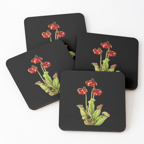 Item preview, Purple Pitcherplant - Sarracenia Purpurea- Walcott - Botanical Illustration designed and sold by chimakingthings.