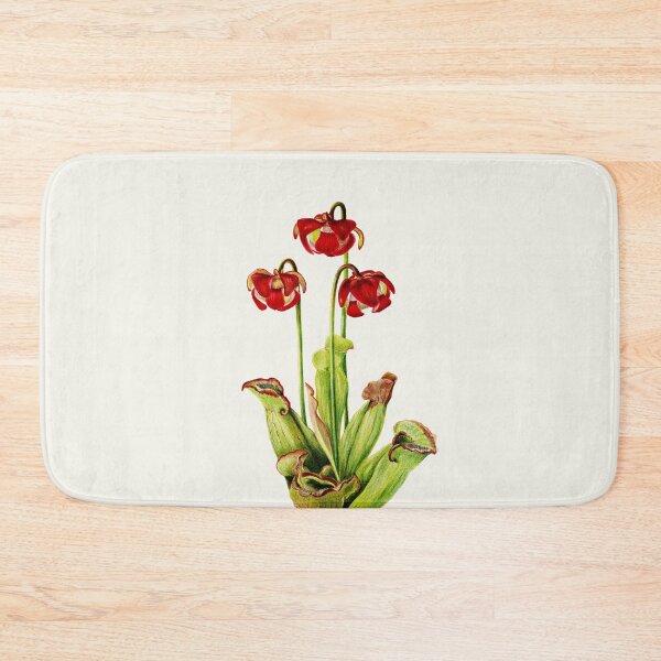 Item preview, Purple Pitcherplant - Sarracenia Purpurea- Walcott - Botanical Illustration designed and sold by chimakingthings.