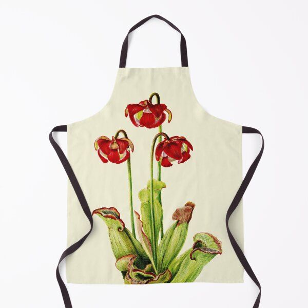 Item preview, Purple Pitcherplant - Sarracenia Purpurea- Walcott - Botanical Illustration designed and sold by chimakingthings.
