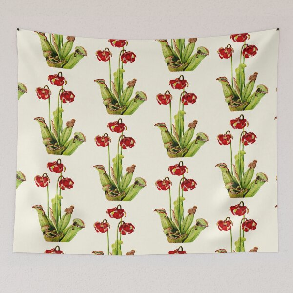 Item preview, Purple Pitcherplant - Sarracenia Purpurea- Walcott - Botanical Illustration designed and sold by chimakingthings.
