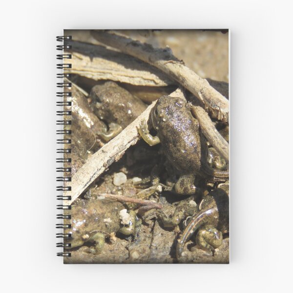 Item preview, Toad-letts designed and sold by Luck of the Shutter.