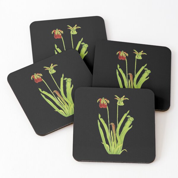 Item preview, Sweet Pitcherplant - Sarracenia Rubra- Walcott - Botanical Illustration designed and sold by chimakingthings.