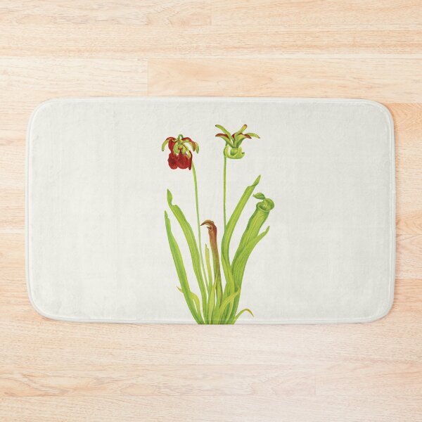 Item preview, Sweet Pitcherplant - Sarracenia Rubra- Walcott - Botanical Illustration designed and sold by chimakingthings.